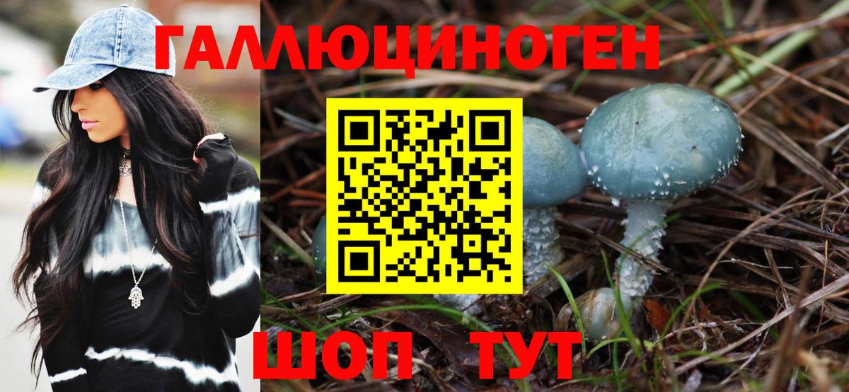 Галлюциногенные грибы мицелий Саяногорск