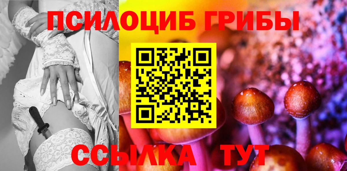 Галлюциногенные грибы мицелий  Вход с VPN  Саяногорск  Псилоцибиновые грибы Psilocybe 